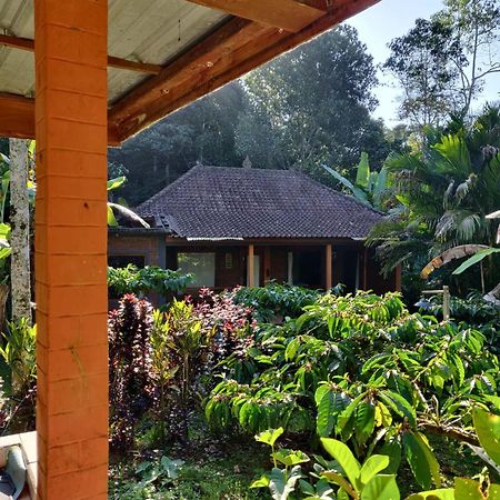Dina Home Stay At Desa Wisata Wongayagede Jatiluwih Exteriér fotografie