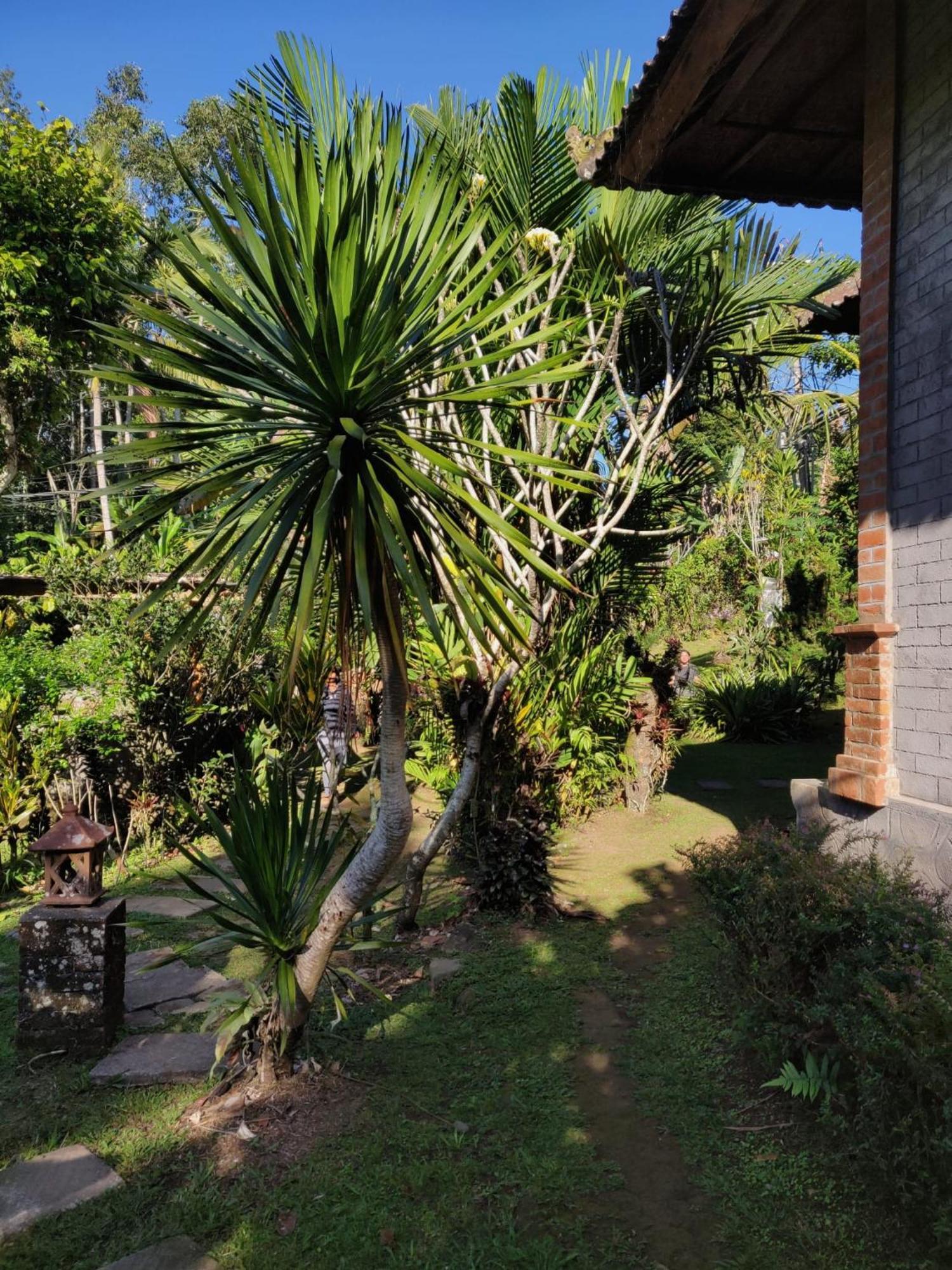 Dina Home Stay At Desa Wisata Wongayagede Jatiluwih Exteriér fotografie