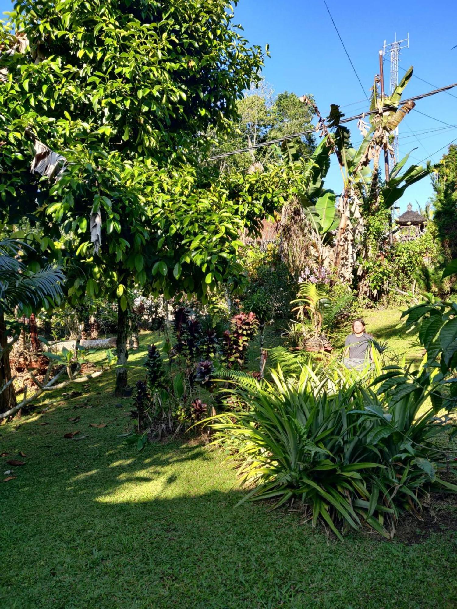 Dina Home Stay At Desa Wisata Wongayagede Jatiluwih Exteriér fotografie