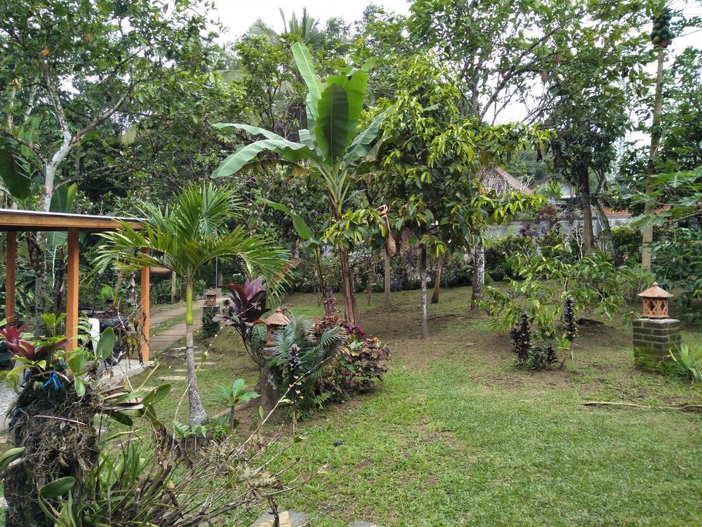 Dina Home Stay At Desa Wisata Wongayagede Jatiluwih Exteriér fotografie
