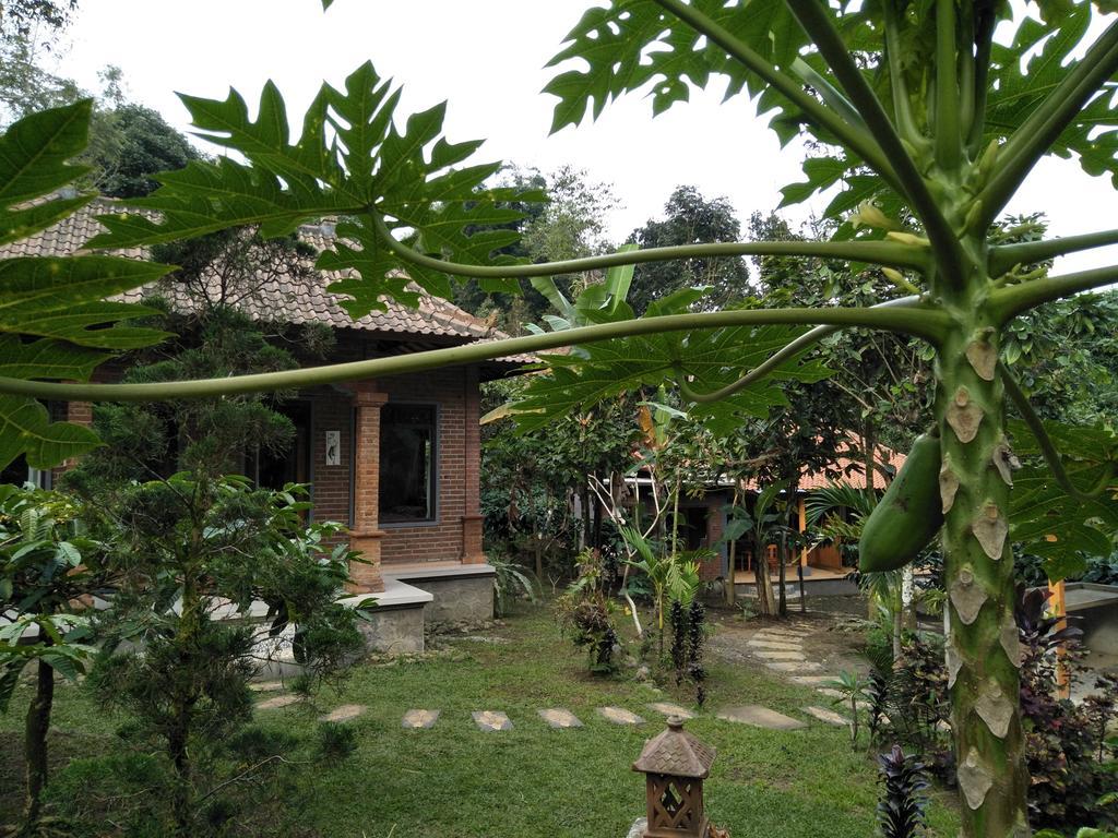 Dina Home Stay At Desa Wisata Wongayagede Jatiluwih Exteriér fotografie